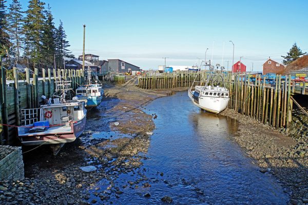 Pasaules paisumu un bēgumu karte
